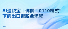 AI退税宝丨详解“